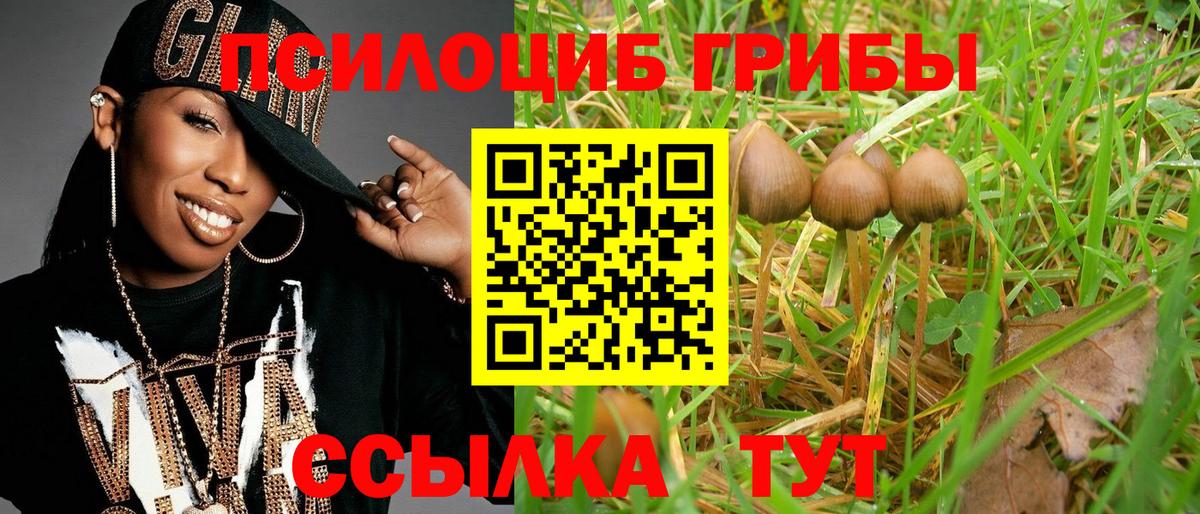 Кулебаки  Псилоцибиновые грибы ЛСД  наркошоп  Вход с VPN 